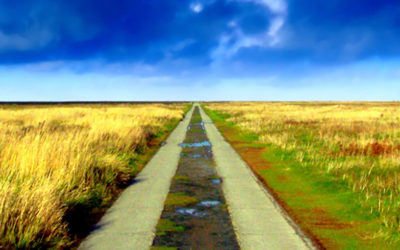 If you don’t know where you are going, you might wind up someplace else